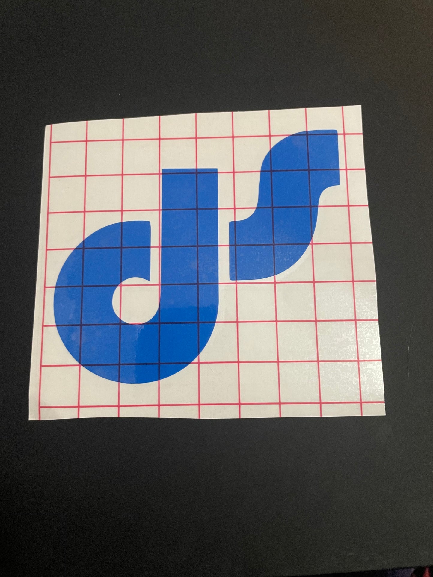 DS Sticker - Waterproof Vinyl Decal (multiple sizes, logo only)
