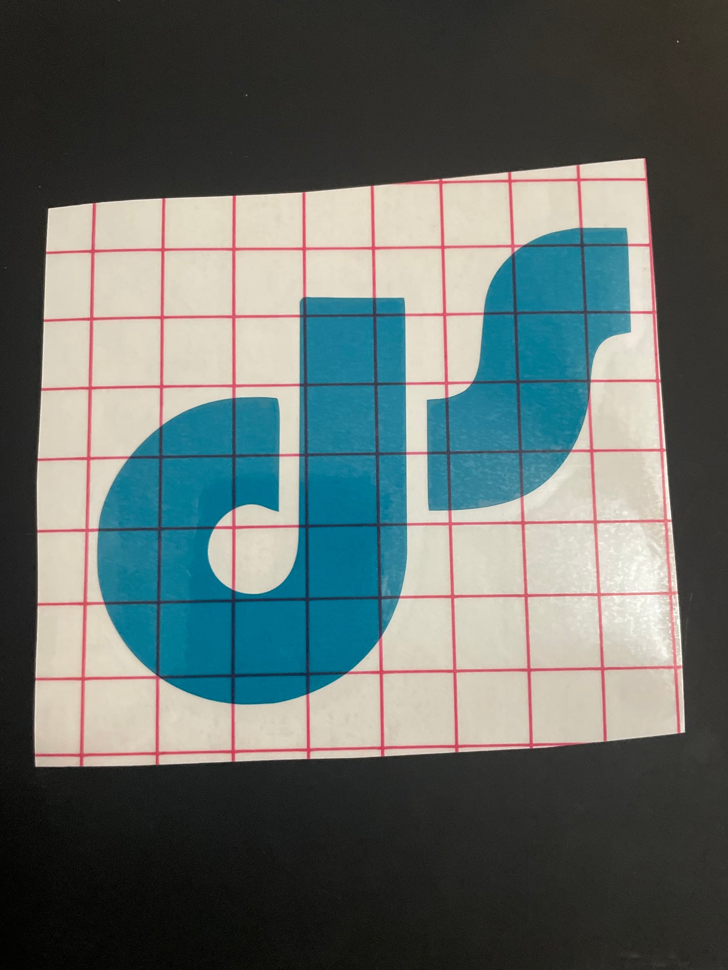DS Sticker - Waterproof Vinyl Decal (multiple sizes, logo only)